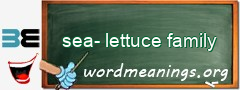 WordMeaning blackboard for sea-lettuce family